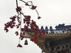-广州中山纪念堂