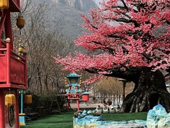 -河南宝泉旅游区