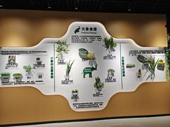 -野象谷景区