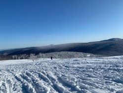 -大秃顶子山