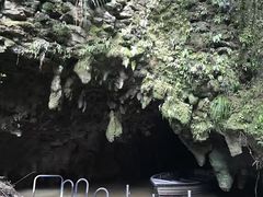 -怀托摩萤火虫洞