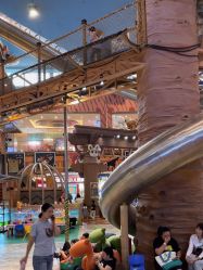 -卡通尼·Safari非洲探索乐园·生日会(金桥国际商业广场店)