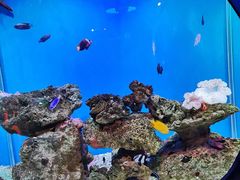 -海合安武汉极地海洋公园