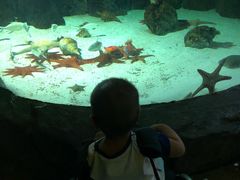 -福州罗源湾海洋世界旅游区