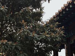 -戏马台景区