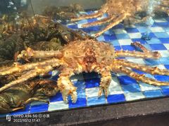 -老伙记海鲜码头(北滘店)
