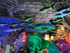 -烟台海昌鲸鲨海洋公园
