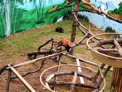 -西霞口神雕山野生动物世界