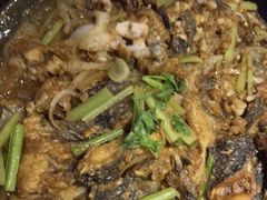 -老板恋上鱼(恒隆广场店)