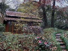 -解香楼(八盘岭路店)