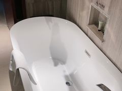 -常州环球恐龙城维景国际大酒店