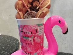 -Flamingo Bloom(TST /尖沙咀店)