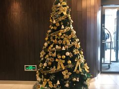 -桔子酒店(上海西藏北路地铁站店)