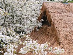 -中国茶叶博物馆(双峰馆区)