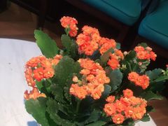 -宴昆山·私房菜(春晖店)