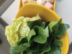 -润园四季椰子鸡火锅(海上世界店)