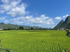 -万峰林风景区