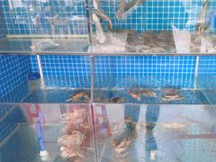 -杨记海鲜楼