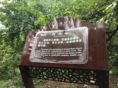 -鹿院坪生态旅游景区