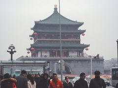 -金龙咖喱