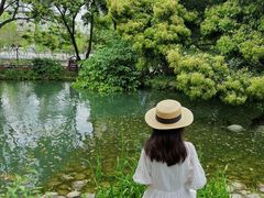 -成都市活水公园