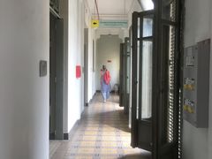 -胡志明市美术馆