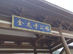 -金龙寺国家森林公园