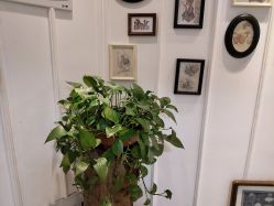 -长沙纹身·龙堂刺青·三土师傅的店