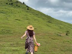 -大姆山草场