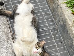 -晓港公园
