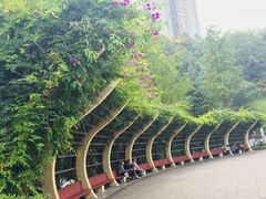 -龙头寺公园