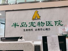 -半岛宠物医院24小时(科华中路店)