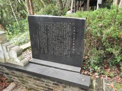 -上海佘山国家森林公园天马山园