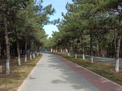 -云岗森林公园