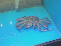 -鲜味食族水产·海鲜餐厅