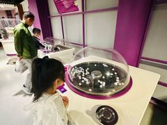 -陕西科学技术馆