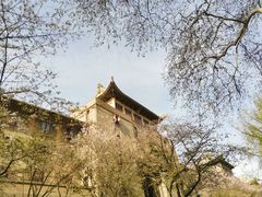 -武汉大学-樱园