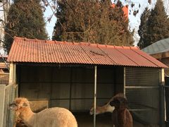 -意大利农场度假村