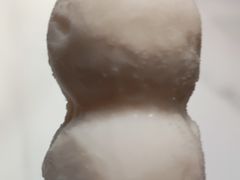 -清真·卡德尔大叔新疆主题餐厅(龙汇路店)