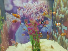 -烟台海昌鲸鲨海洋公园