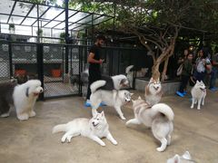 -TrueLove @ Neverland (Husky Cafe)