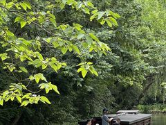 -同里国家湿地公园