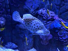 -成都浩海立方海洋公园