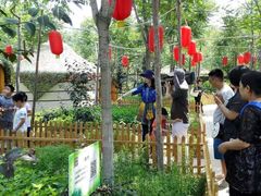 -草根堂农场