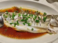 -金美华轩(东方路齐鲁店)