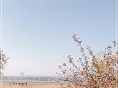 -绿堤公园