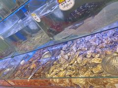 -晶渔坊·海鲜私房菜(东夷小镇店)