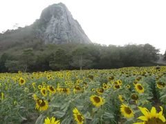 -七珍佛山