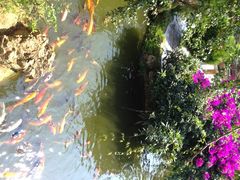 iphone_upload_pic-祝家花園(伯渎港店)