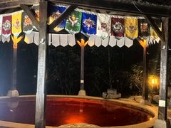 -天目湖涵田半山温泉